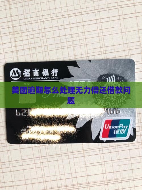 美团借款如何处理无力还款问题