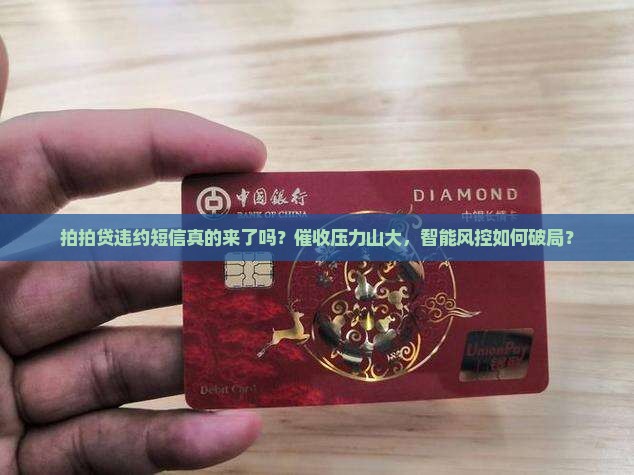 拍拍贷违约短信