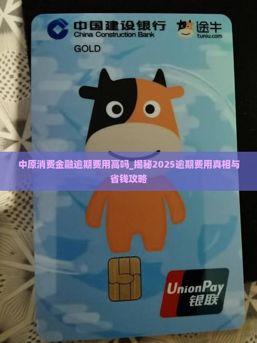 中原消费金融逾期费用高吗