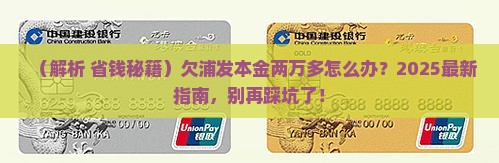 欠浦发本金两万多怎么办