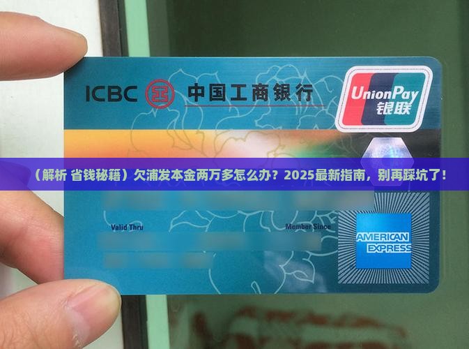 欠浦发本金两万多怎么办