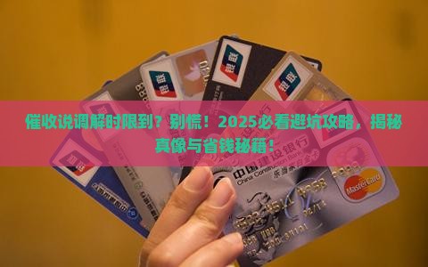 催收说调解时限到