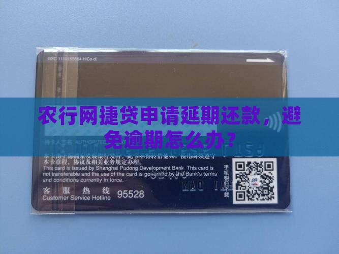 农行网捷贷能从网上延期吗