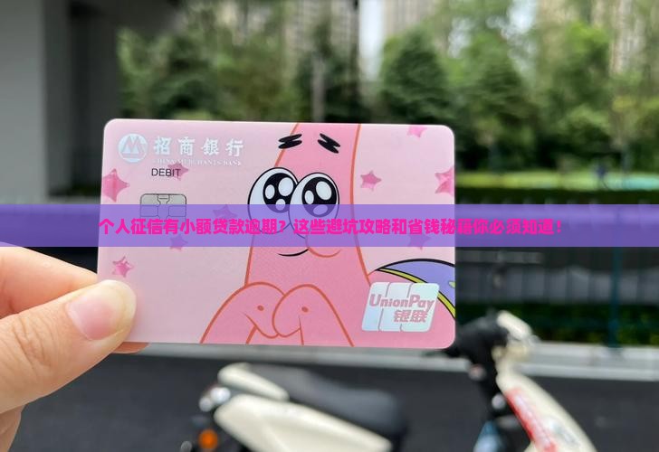 个人征信有小额贷款逾期如何解决