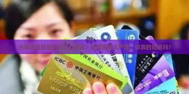 白领通逾期后多久可以起诉