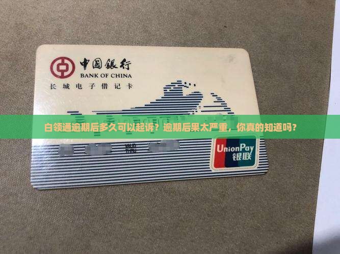白领通逾期后多久可以起诉