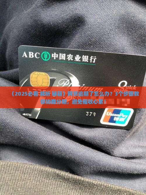 网贷逾期法律咨询协商分期如何处理