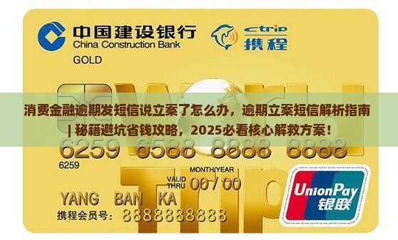 消费金融逾期发短信说立案了怎么办