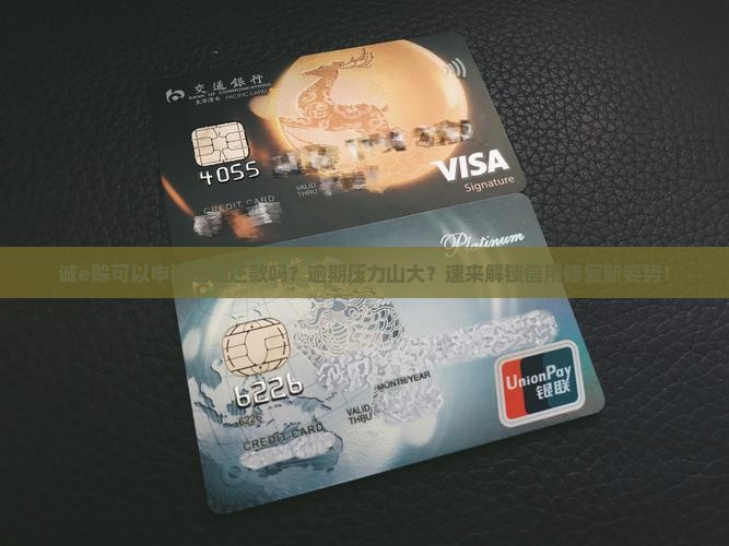 诚e赊可以申请延期还款吗