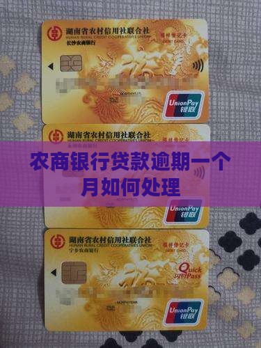 农商银行3万贷款逾期一个月如何处理
