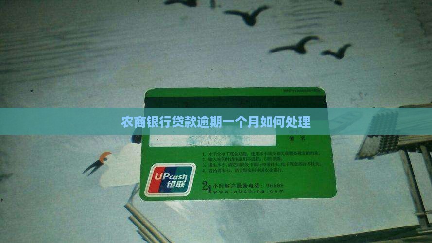 农商银行3万贷款逾期一个月如何处理