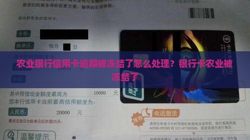 农业银行信用卡逾期被冻结了