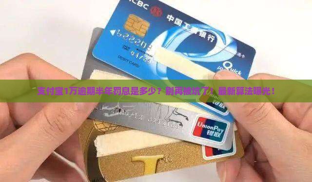 支付宝1万逾期半年罚息是多少算账