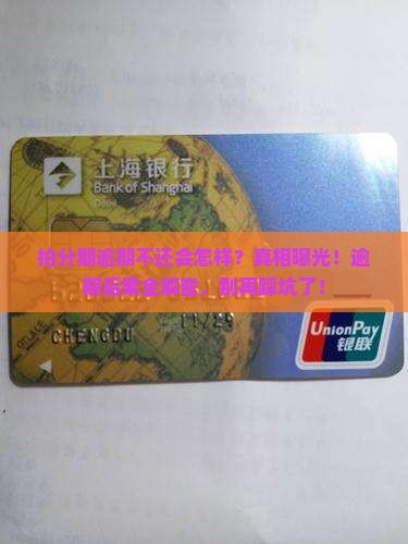 拍分期逾期不还会怎么样