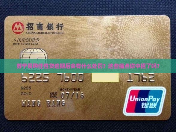 苏宁易购任性贷逾期后处罚措施有哪些