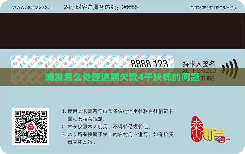 如何妥善处理浦发欠款4千块钱的问题