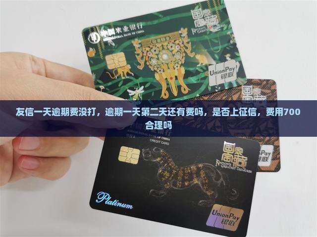 友信一天逾期费没打
