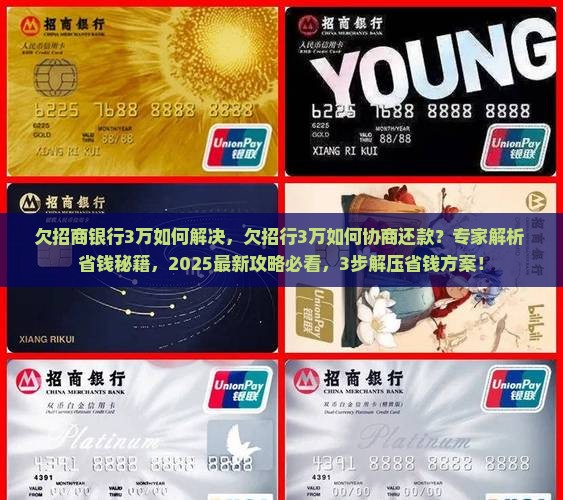 欠招商银行3万如何解决