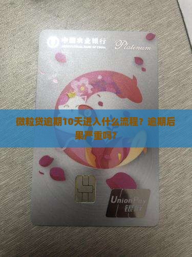 微粒贷逾期10天进入什么流程