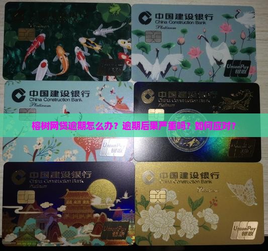榕树网贷逾期怎么办