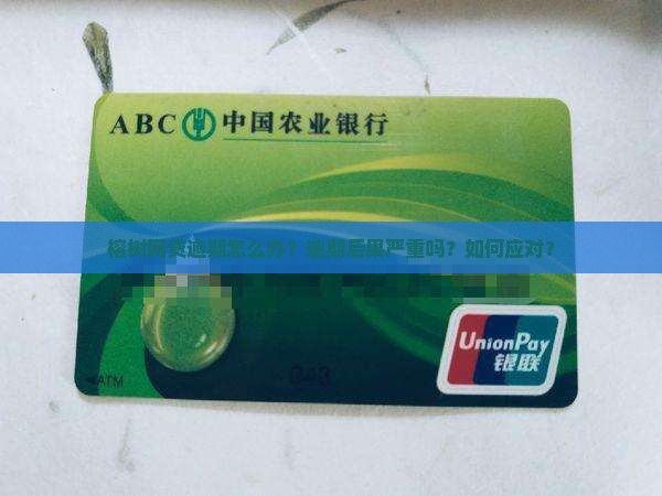 榕树网贷逾期怎么办