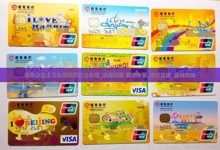 京东企业主贷逾期经历怎么处理