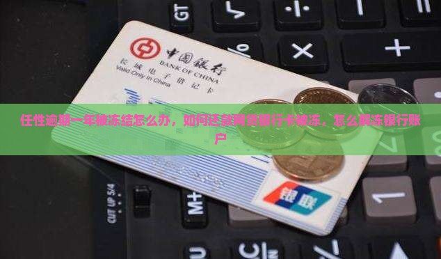 任性付逾期一年被冻结怎么办