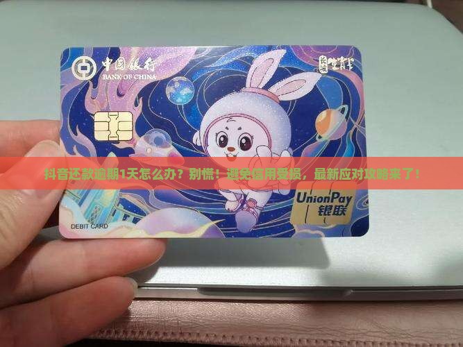 抖音还款逾期1天怎么办