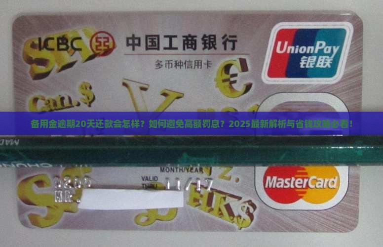 备用金逾期20天还款