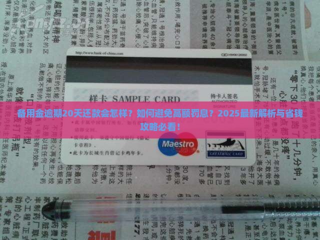 备用金逾期20天还款