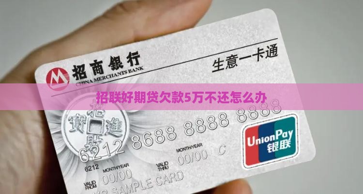 招联好期贷欠款5万不还怎么办