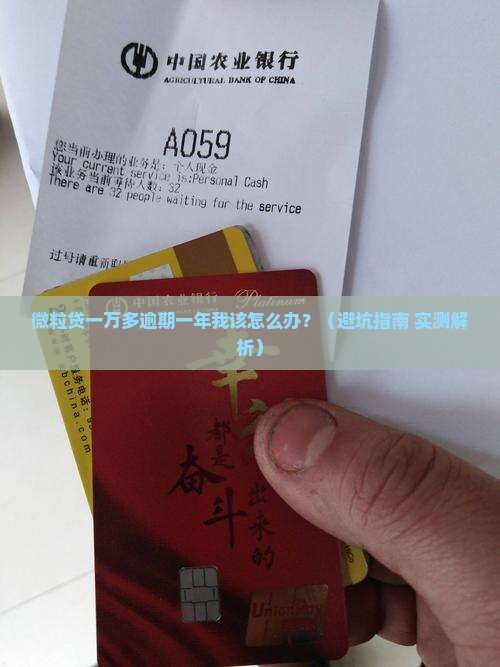 微粒贷一万多逾期一年会有什么后果