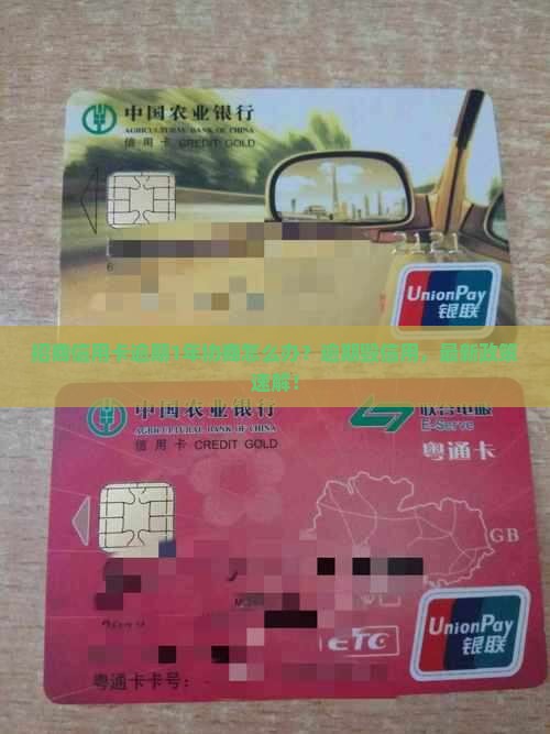 招商信用卡逾期1年协商怎么办