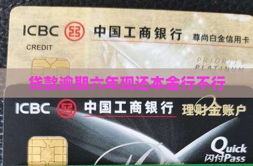 贷款逾期六年现还本金行不行