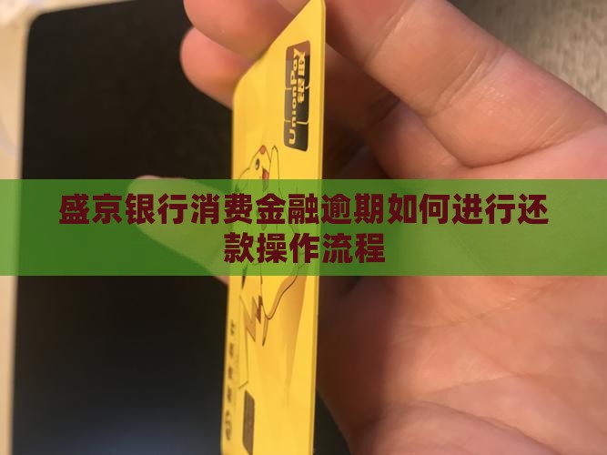 盛京银行消费金融逾期如何进行还款操作