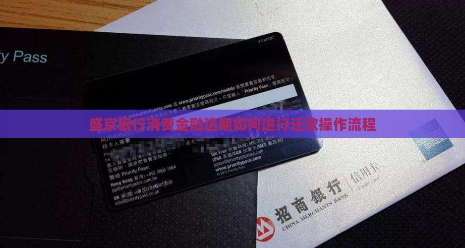 盛京银行消费金融逾期如何进行还款操作
