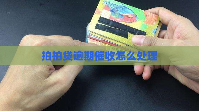 拍拍贷最近疯狂催款怎么处理
