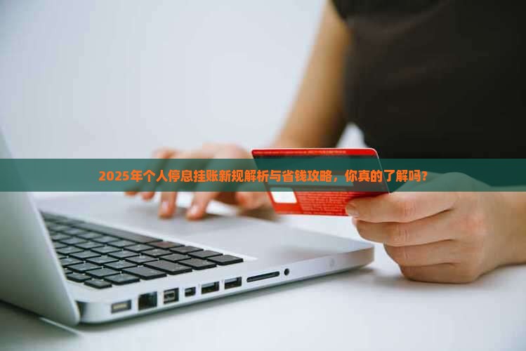 个人停息挂账2024新规定