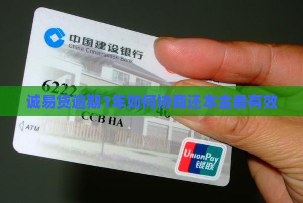 诚易贷逾期1年怎么还本金最有效的方法