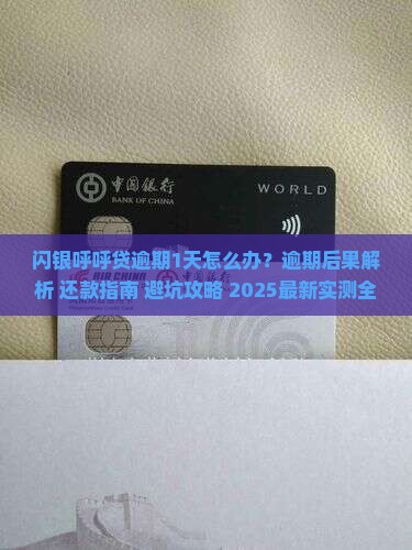 闪银呼呼贷逾期1天