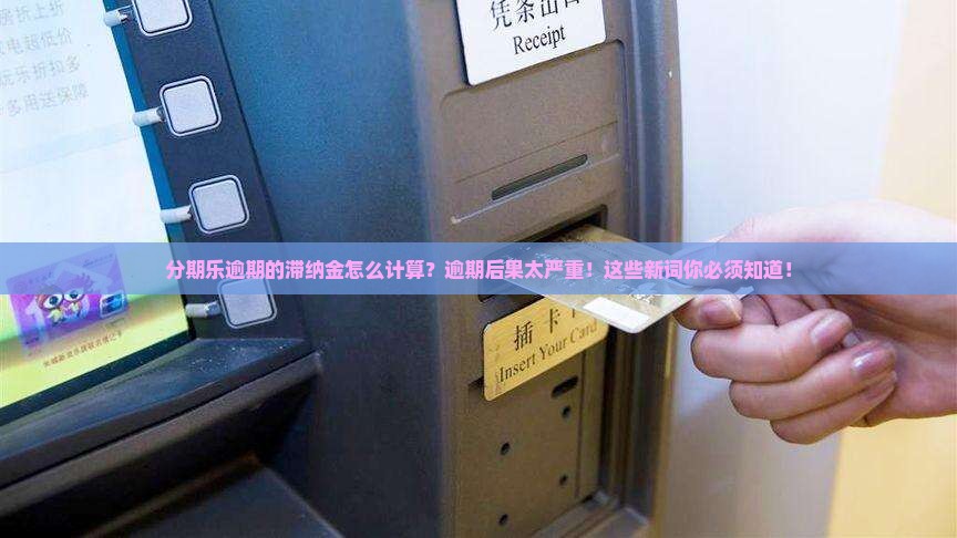 分期乐逾期的滞纳金怎么计算