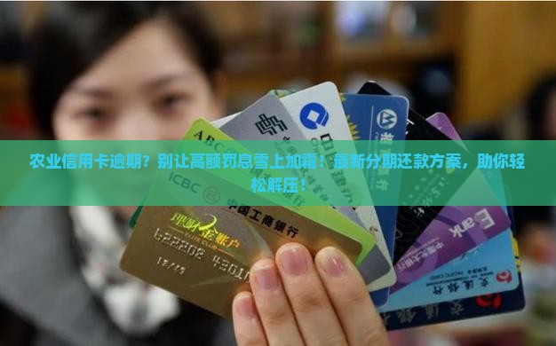 农业信用卡逾期能分期还款吗
