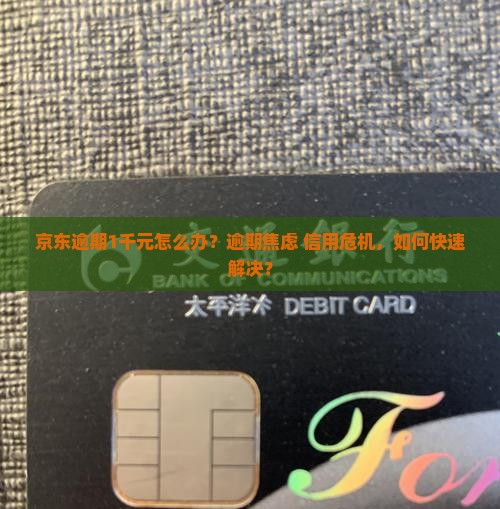 京东白条逾期1千元应该怎么处理