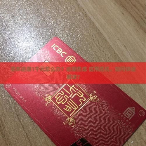 京东白条逾期1千元应该怎么处理