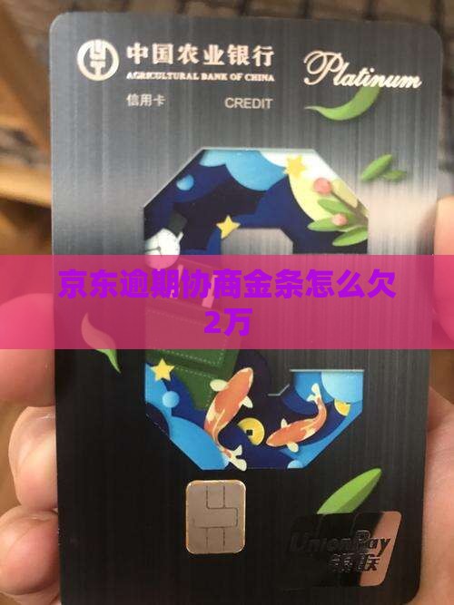 京东金条欠2万怎么协商