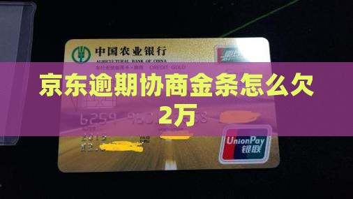 京东金条欠2万怎么协商