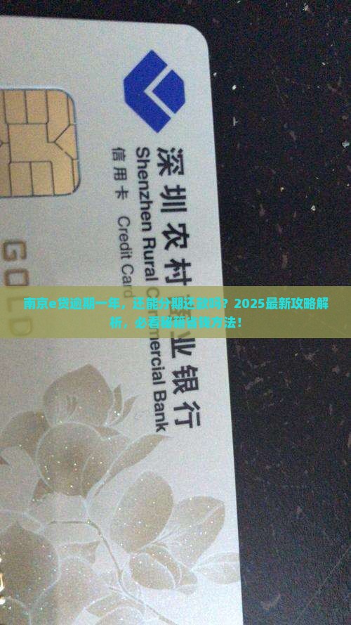 南京e贷逾期一年还能分期还款吗