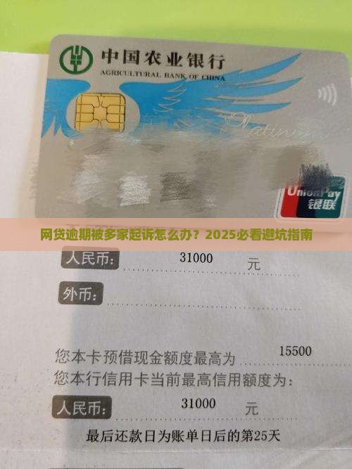 网贷逾期同时被多家起诉应该怎么处理