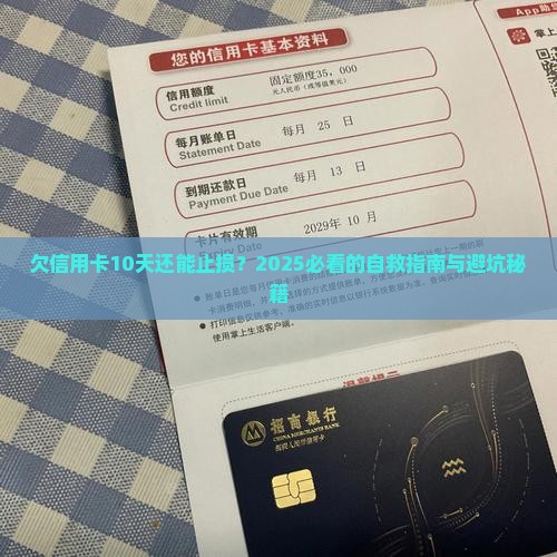 欠信用卡10天止损 欠信用卡10天止损