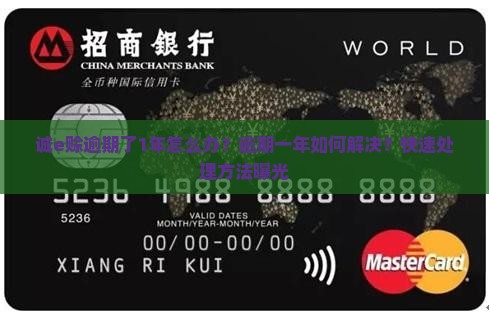 诚e赊逾期了1年怎么办